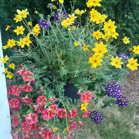 Penthouse Casinonsaari Savonlinna