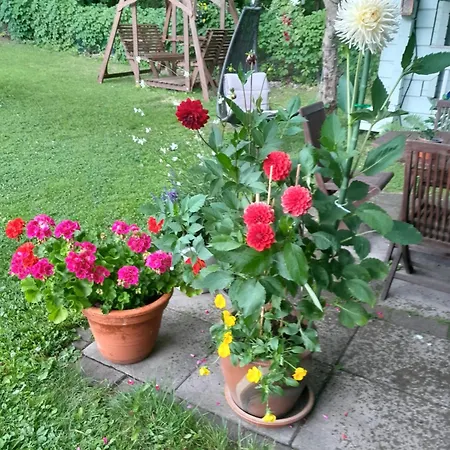 Penthouse Casinonsaari * Savonlinna