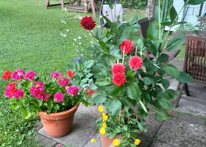 Penthouse Casinonsaari * Savonlinna