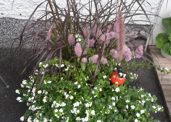 Penthouse Casinonsaari 公寓 *